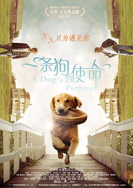 巨乳潜入搜查官在线看