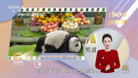 中文字幕亚洲欧美一区二区三区
